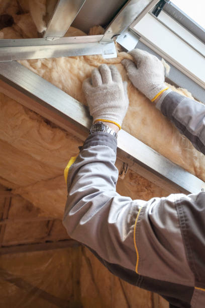 Best Residential Insulation in Lake San Marcos, CA