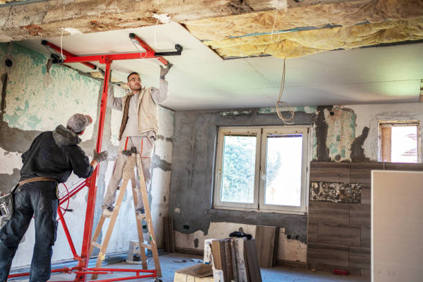 Best Commercial Insulation in Lake San Marcos, CA